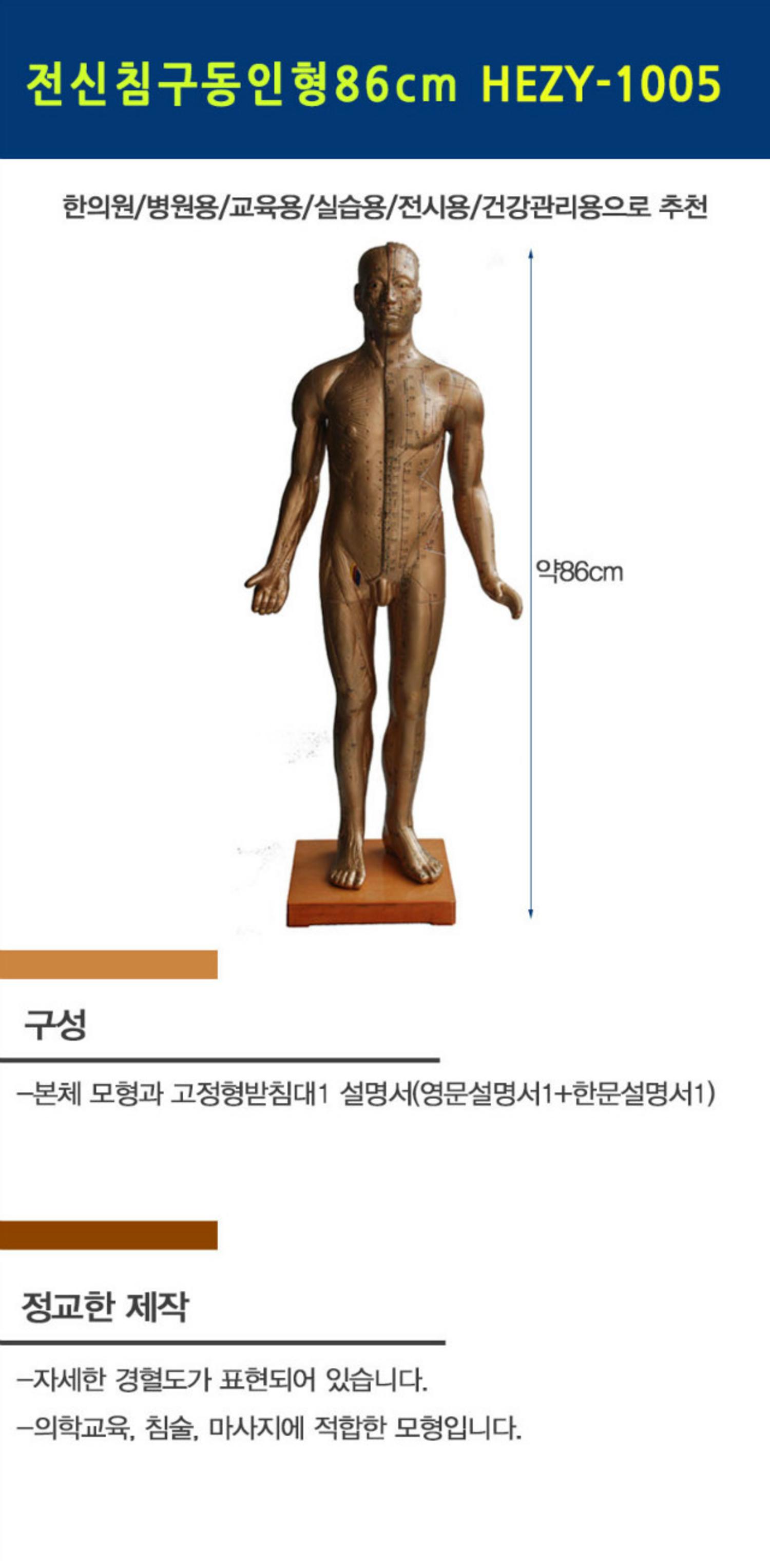 [한의]전신침구동인형